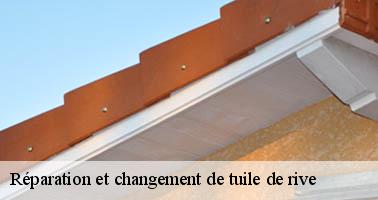 Réparation et changement de tuile de rive   la-chapelle-baton-86250 Amiens couverture