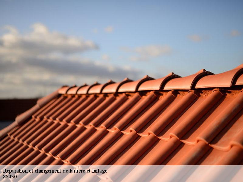 Réparation et changement de faitière et faitage  asnieres-sur-blour-86430 Amiens couverture