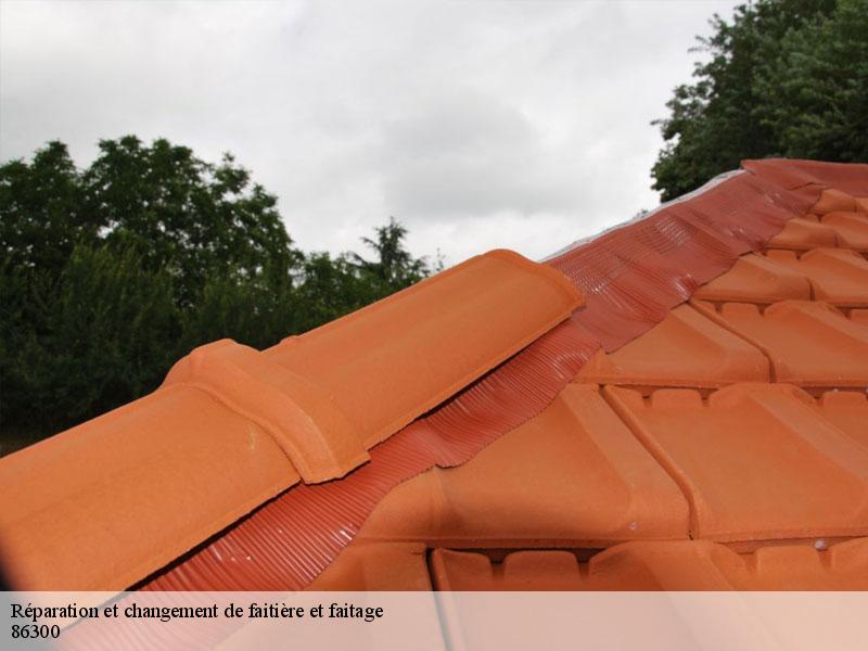 Réparation et changement de faitière et faitage  chapelle-morthemer-86300 Amiens couverture