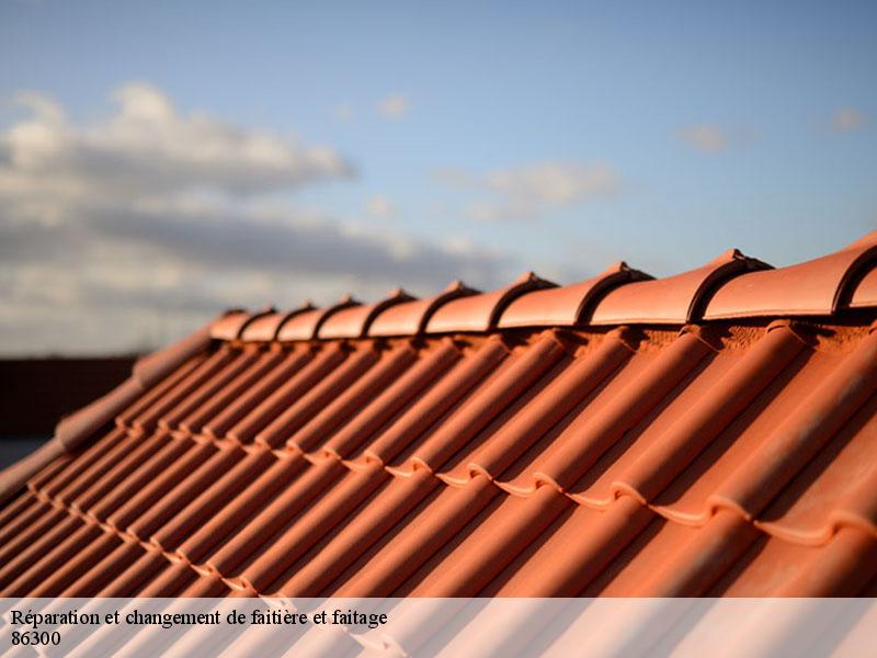 Réparation et changement de faitière et faitage  chapelle-viviers-86300 Amiens couverture