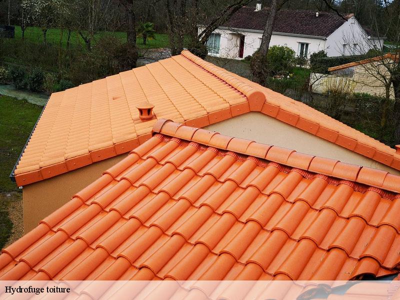 Hydrofuge toiture  beaumont-86490 Amiens couverture