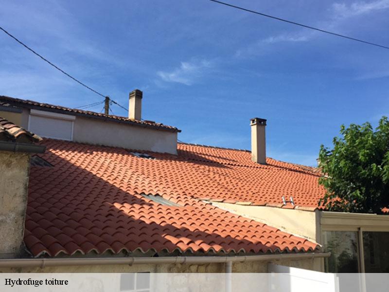 Hydrofuge toiture  champagne-saint-hilaire-86160 Amiens couverture