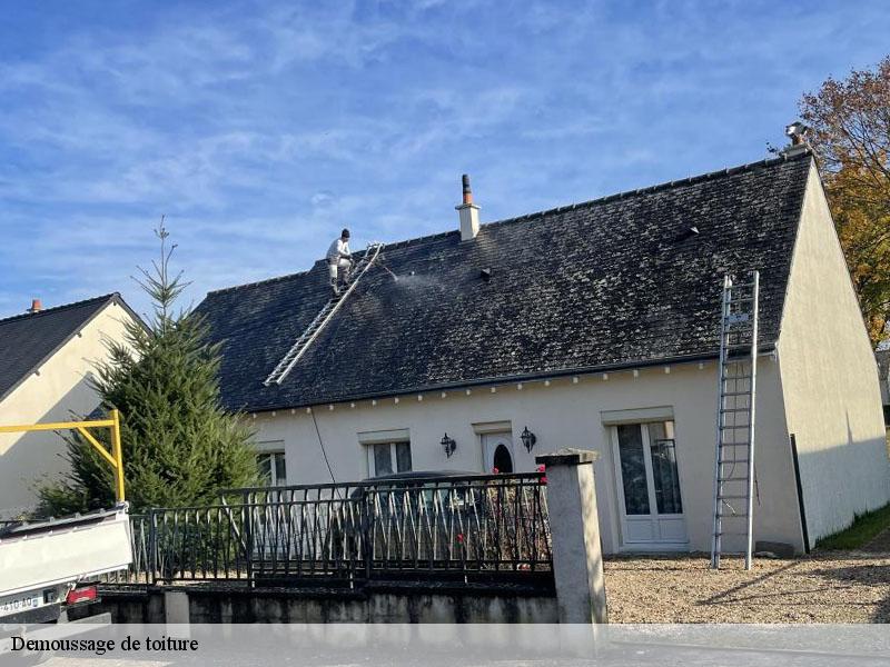 Demoussage de toiture  marigny-brizay-86380 Amiens couverture