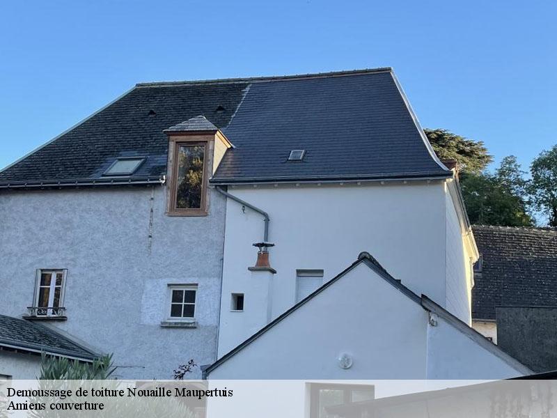 Demoussage de toiture  nouaille-maupertuis-86340 Amiens couverture