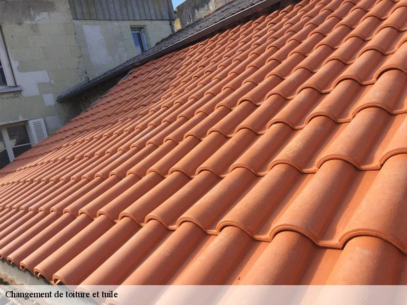 Changement de toiture et tuile  asnois-86250 Amiens couverture