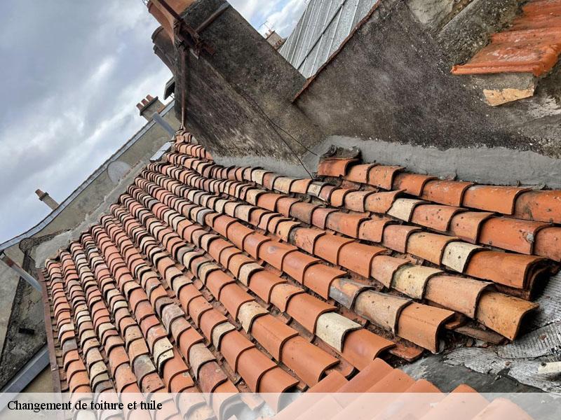 Changement de toiture et tuile  la-grimaudiere-86330 Amiens couverture