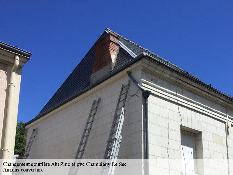Changement gouttière Alu Zinc et pvc  champigny-le-sec-86170 Amiens couverture